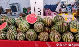 热门大瓜,热门大瓜背后的惊人真相